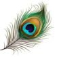 21stcenturyAstroVastu.com